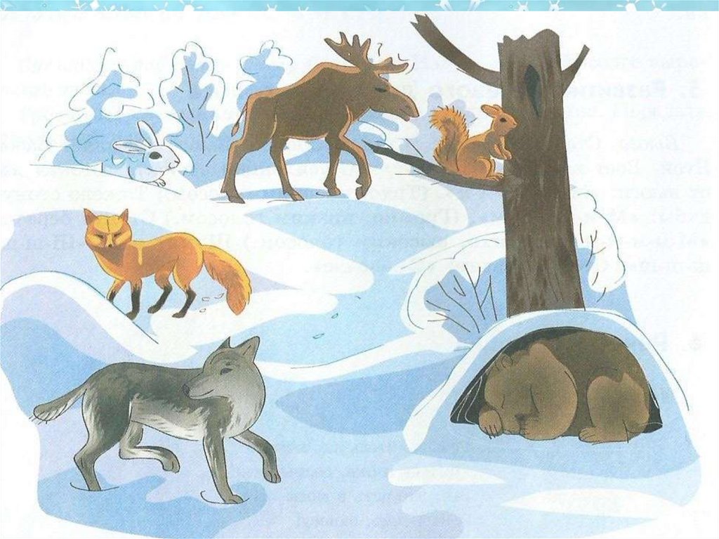 З живе. Зимующие звери в лесу. Зимующие звери в лесу для детей. Животные зимой для детей. Дикие животные в лесу зимой.