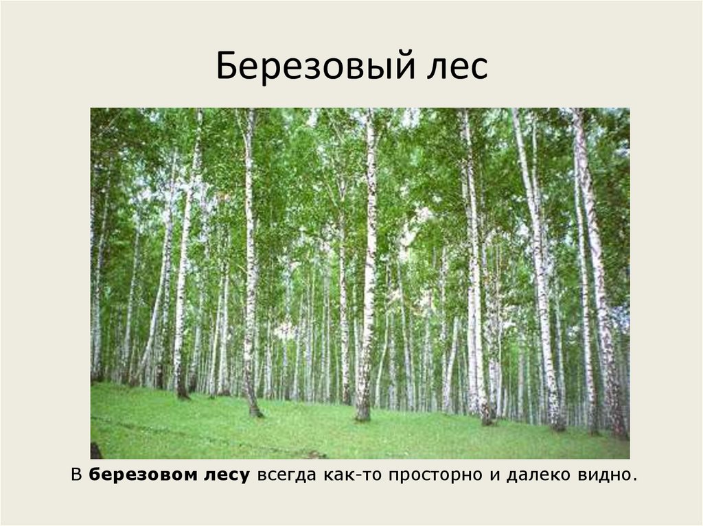 Место россии в современном мире презентация 11 класс