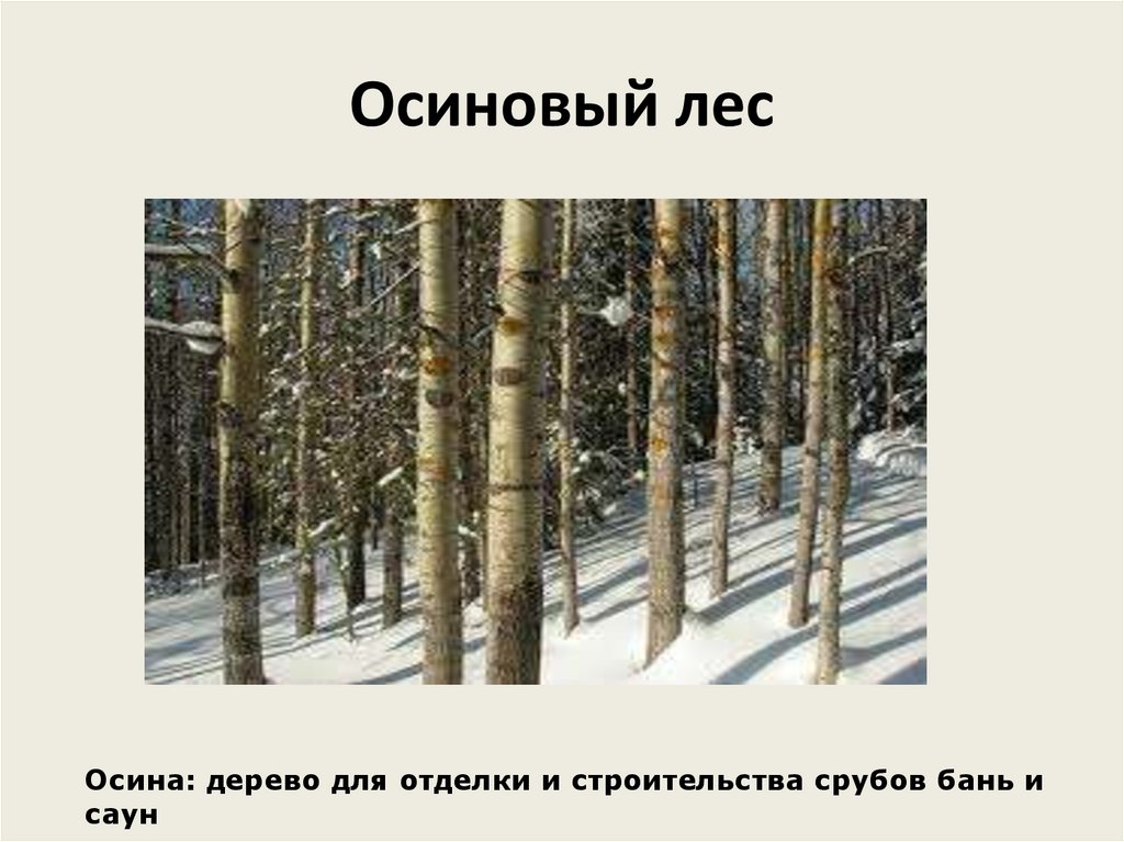 Место россии в современном мире презентация 11 класс