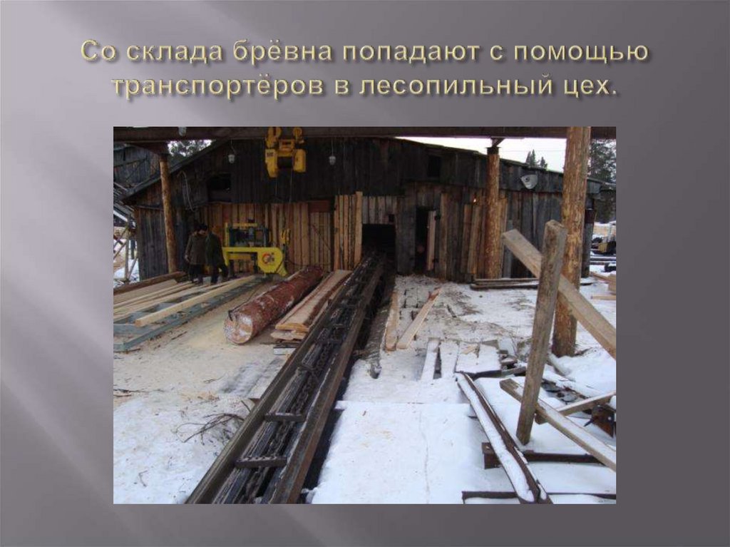 Со склада брёвна попадают с помощью транспортёров в лесопильный цех.