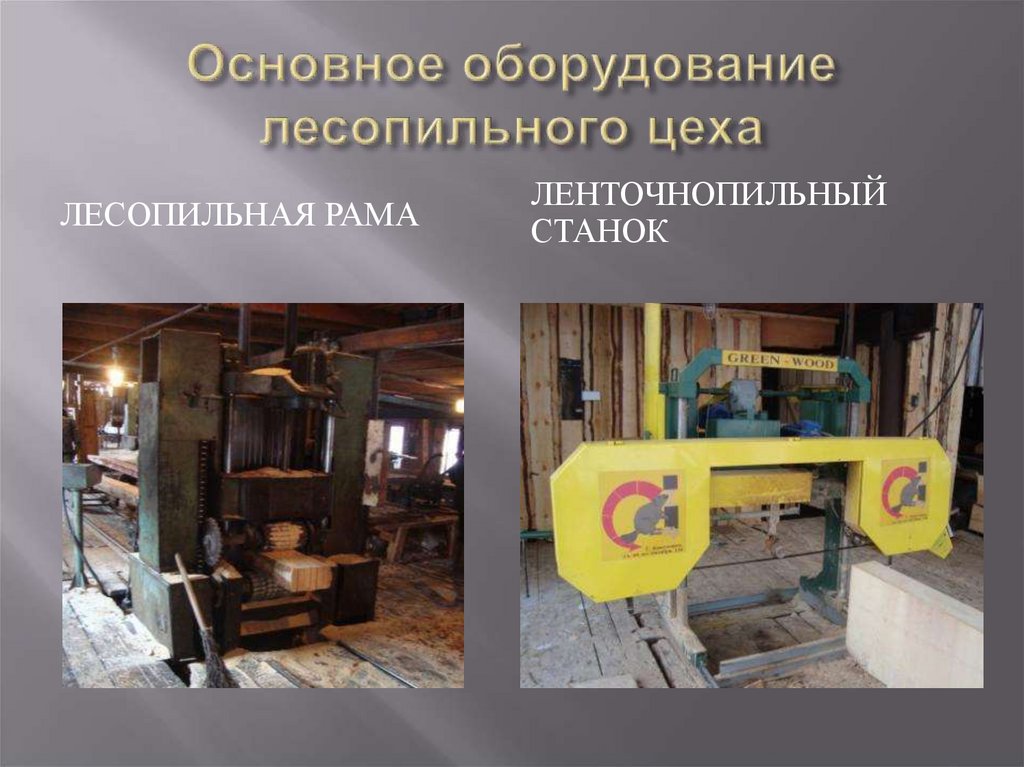 Основное оборудование лесопильного цеха