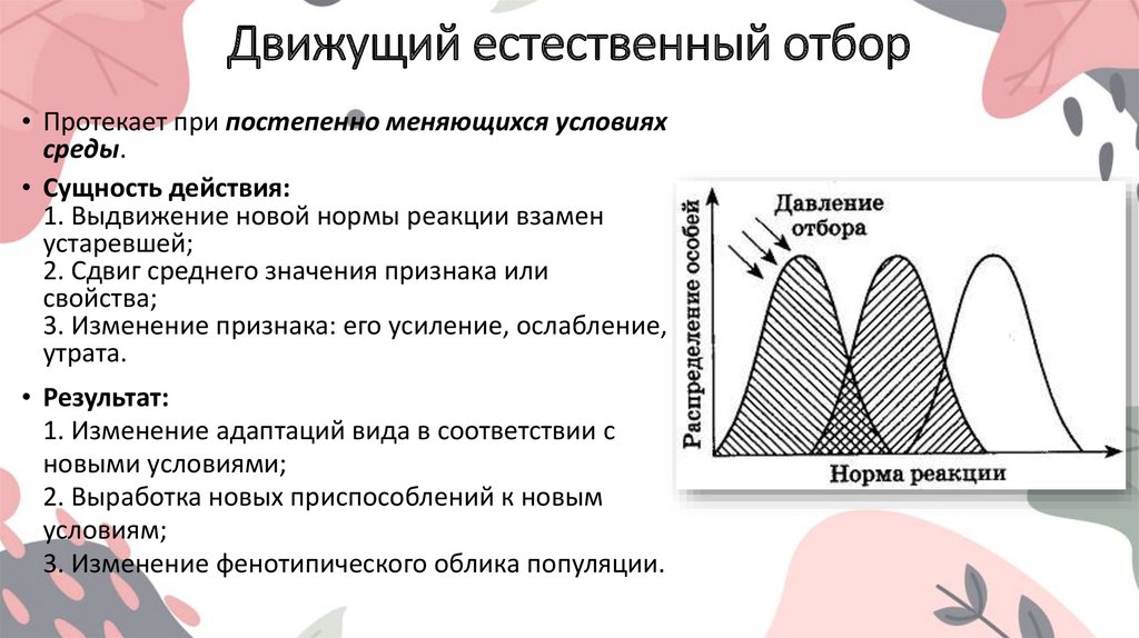 Движущий естественный отбор - презентация онлайн