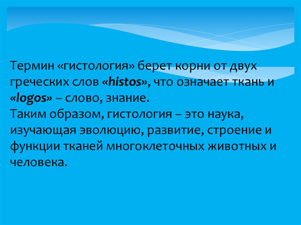 Возьмем корень. Термины в гистологии. Гистологическая терминология. Наука, изучающая термины. Что обозначает слово знание.