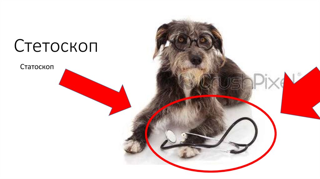 Ребенок и статоскоп - презентация онлайн