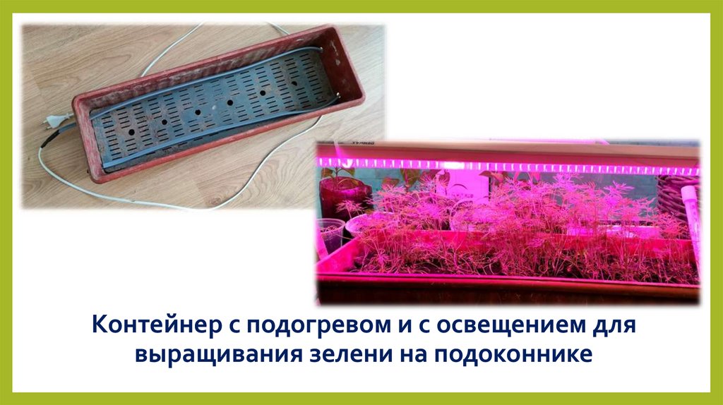 Контейнер с подогревом для выращивания зелени на подоконнике ...