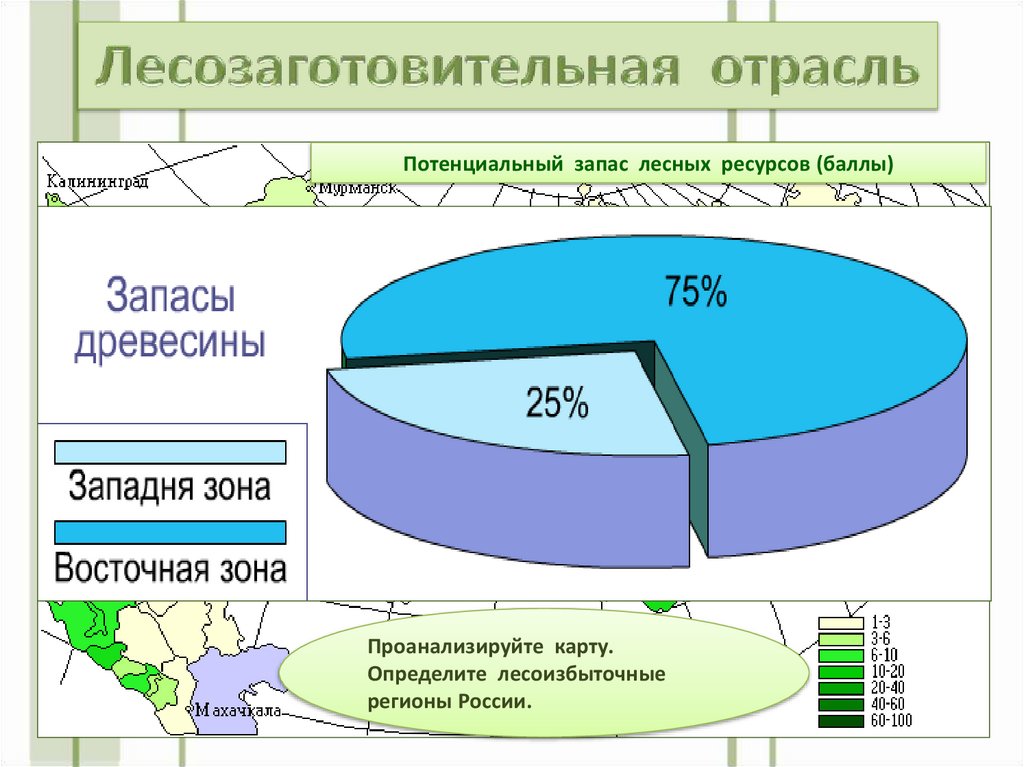 Лесная промышленность россии презентация