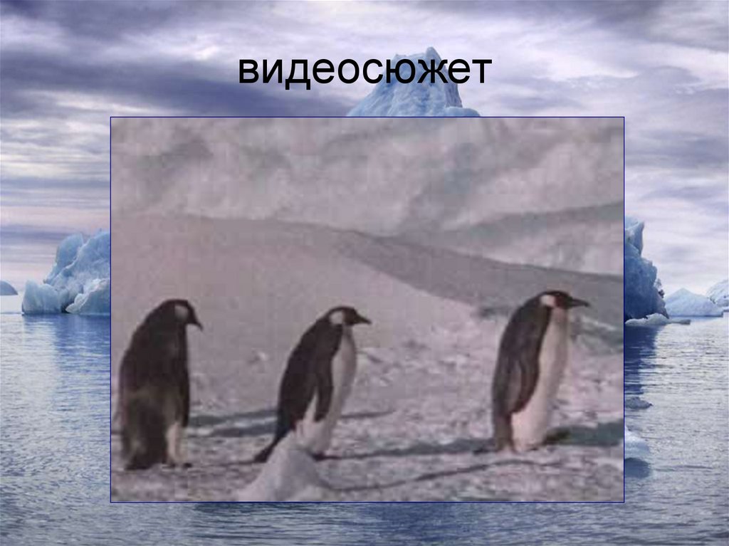 видеосюжет