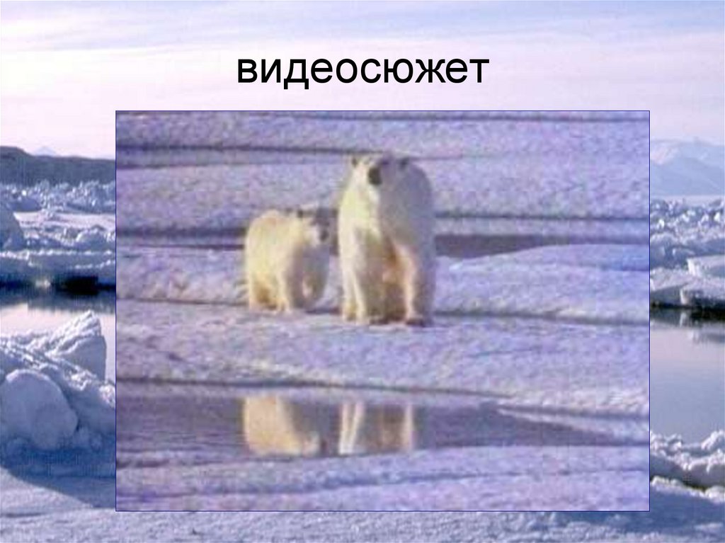 видеосюжет