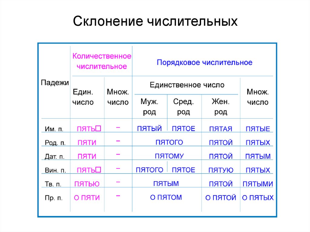 Имя числительное 6 класс