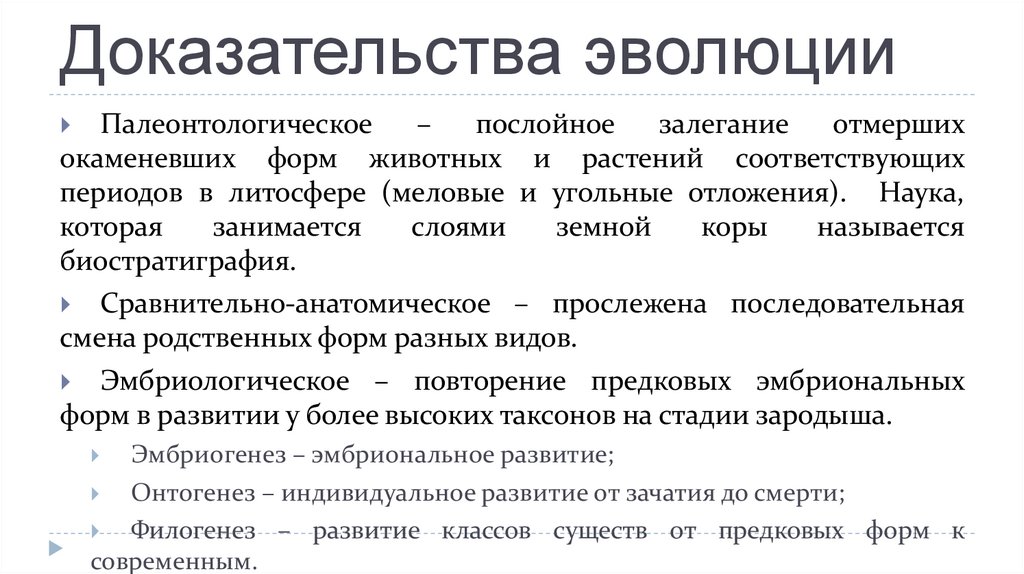 Биологические доказательства. Доказательства эволюции животных конспект краткий. Доказательства ЭФОЛЮЦИ. Доказательства эволюции кратко. Доказательства эволюции конспект.