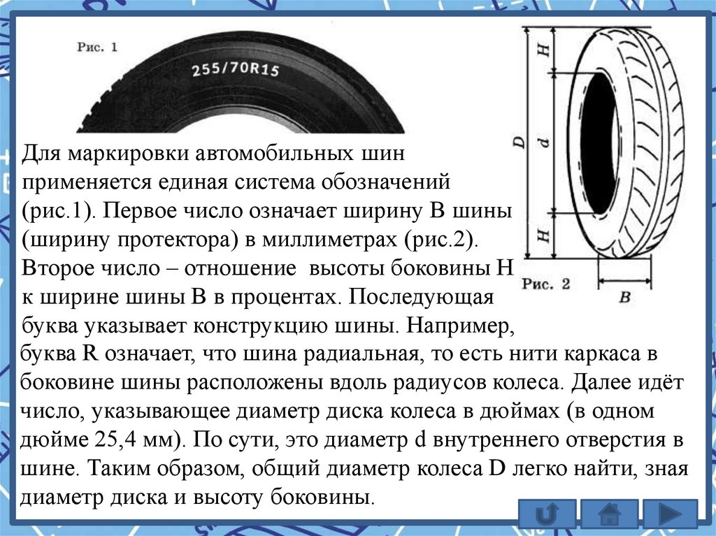 Вариант 11 огэ шины