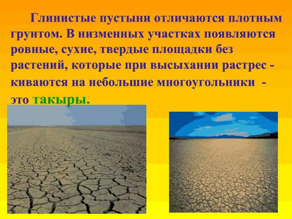 Презентация пустыни. Пустыни презентация. Пустыня презентация. Пустыни мира презентация. Зона пустынь презентация.