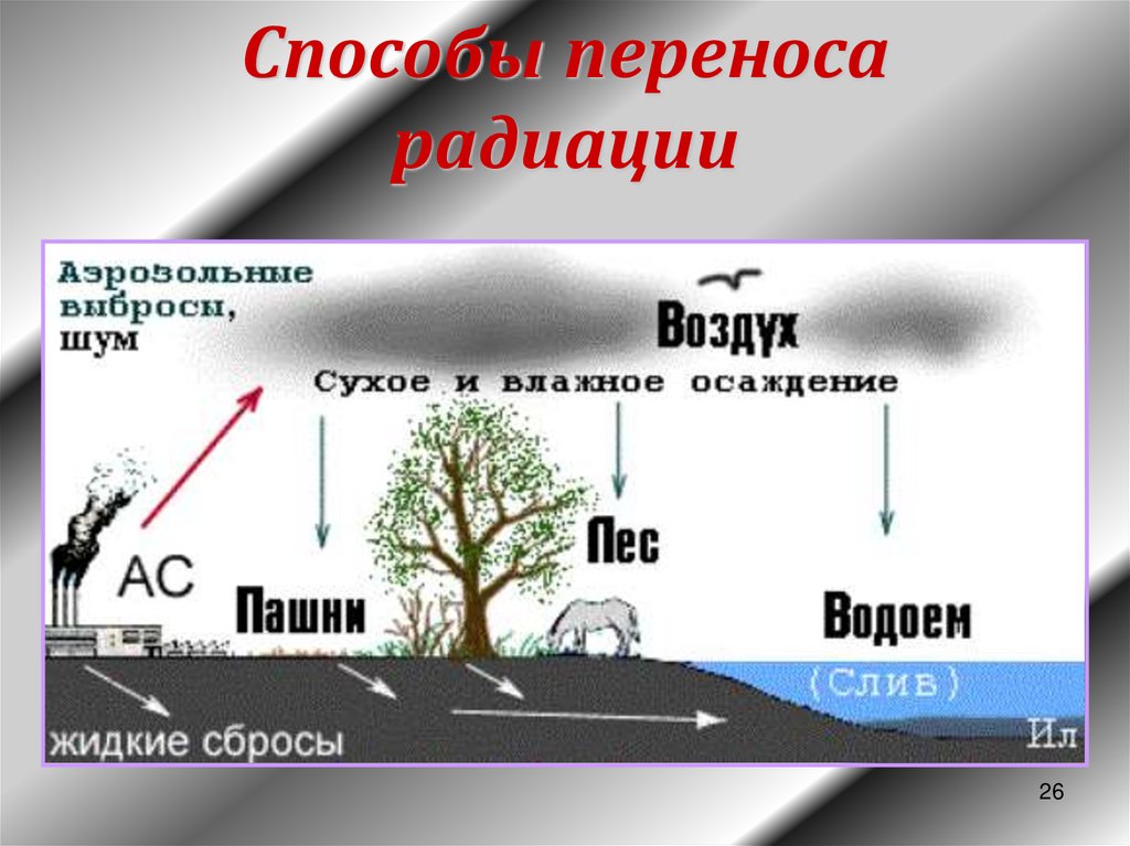 Статистика 11 класс