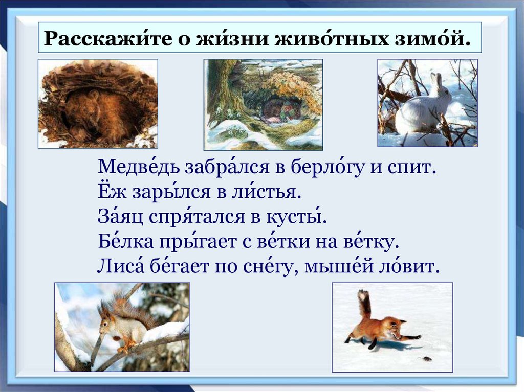 Изменения животных зимой 5 класс биология. Жизнь животных зимой 2 класс. Животные зимой презентация. Как зимуют животные. Звери зимой 2 класс.