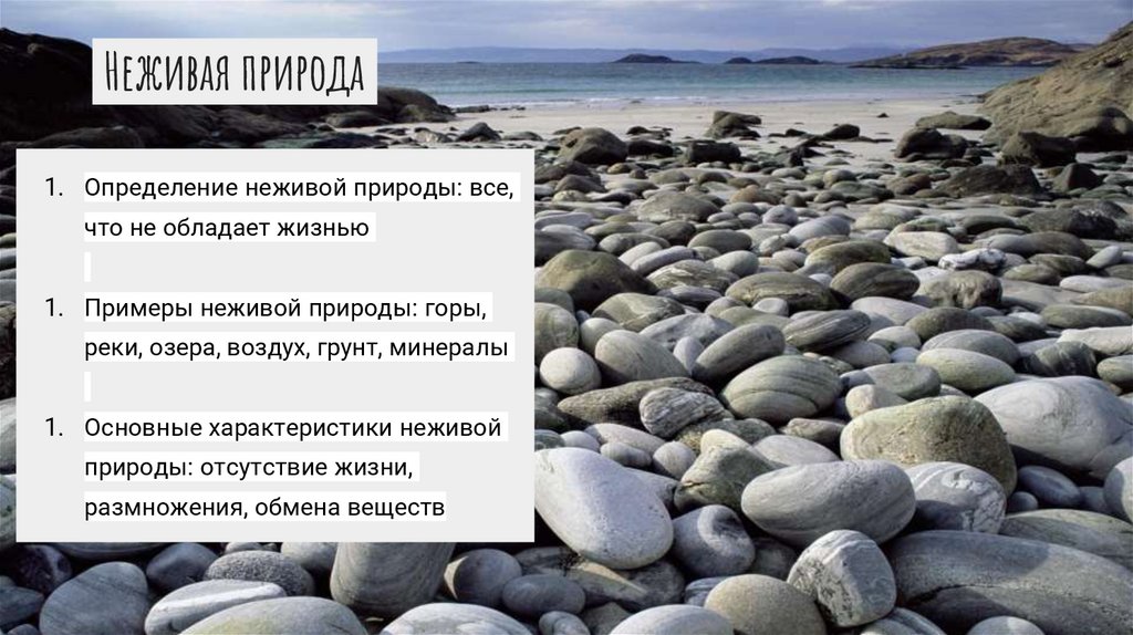 принципиальные различия свойств живой и неживой природы