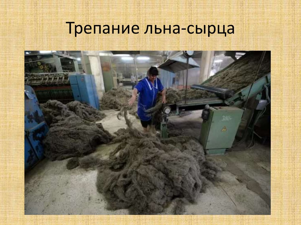 Лен. Строение, химический состав и свойства - презентация онлайн