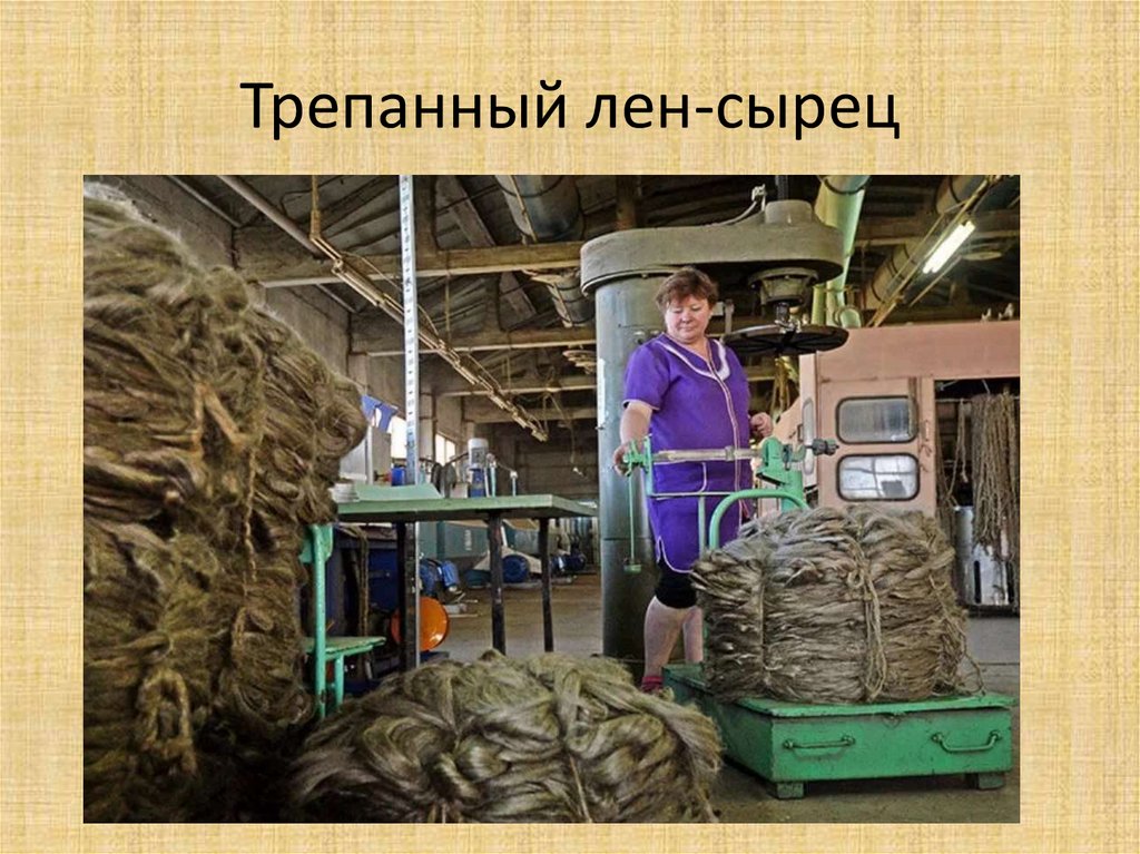 Лен. Строение, химический состав и свойства - презентация онлайн