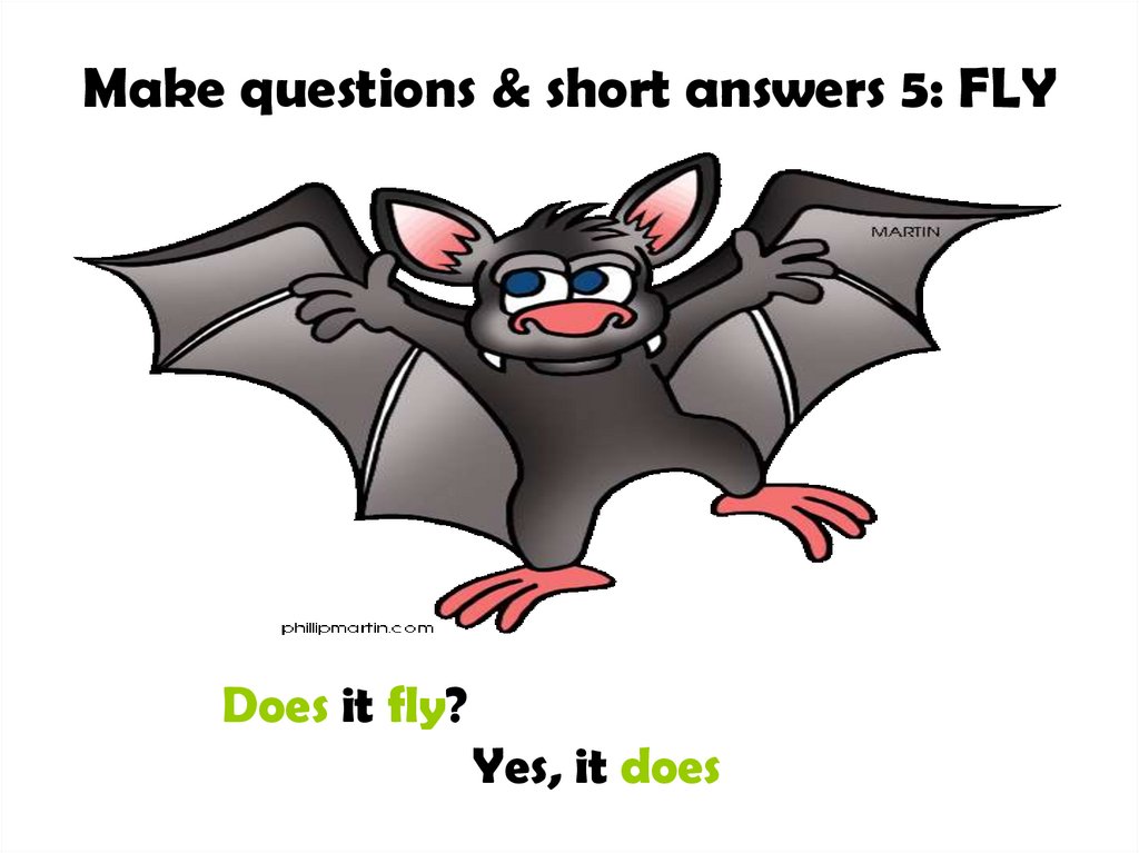Make questions & short answers 5: FLY