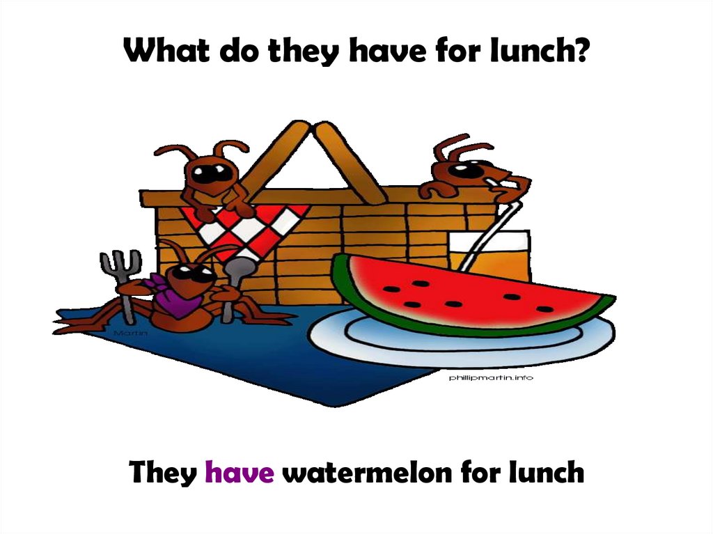 What do they have for lunch?