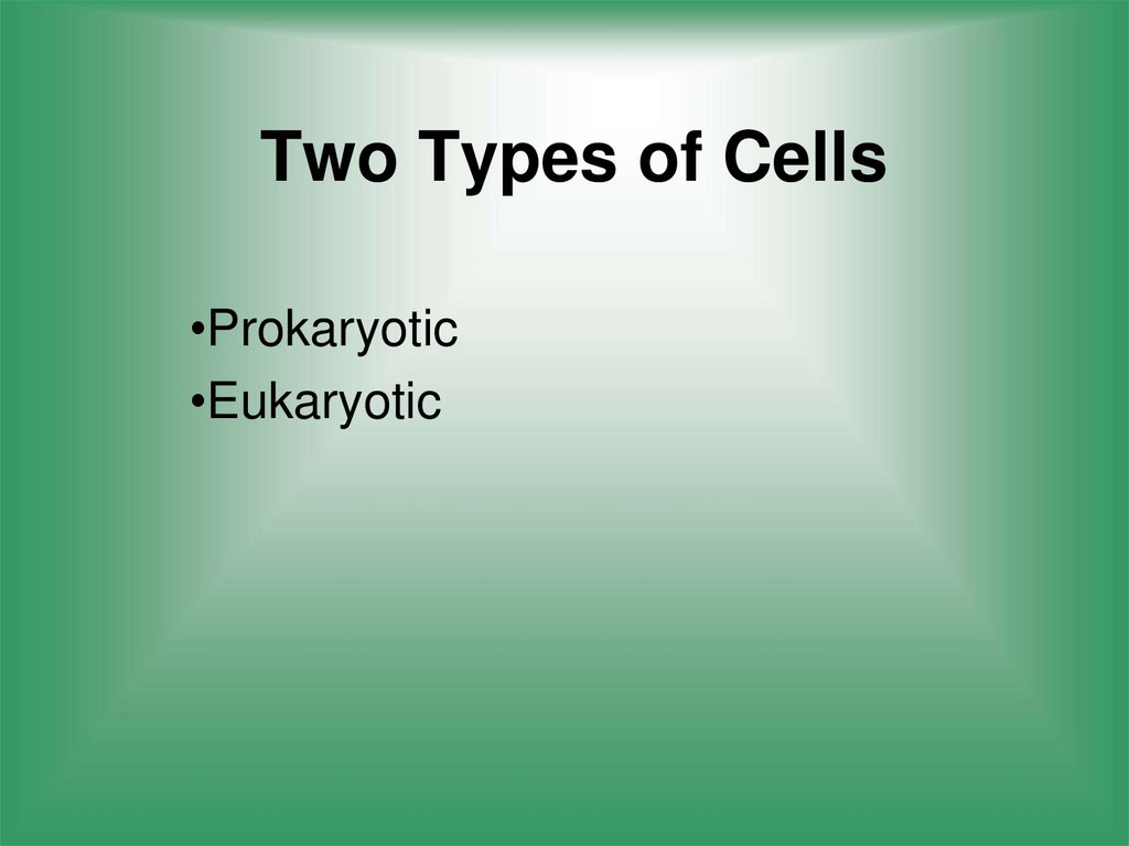 Two Types of Cells