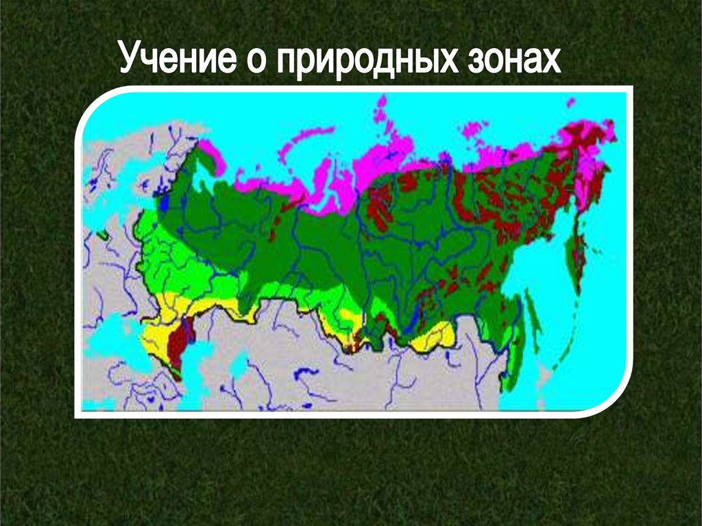 Природные зоны россии сочи. Природные зоны. Природные зоны презентация. Учение о природных зонах. 8 Класс география учение о природных зонах.