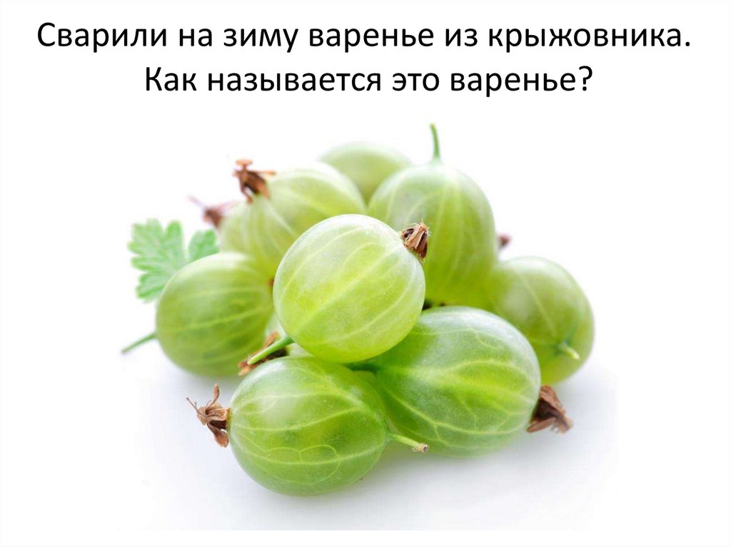 Картинка крыжовник на прозрачном фоне