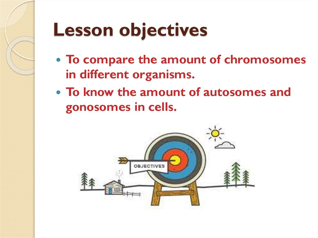 number-and-types-of-chromosomes