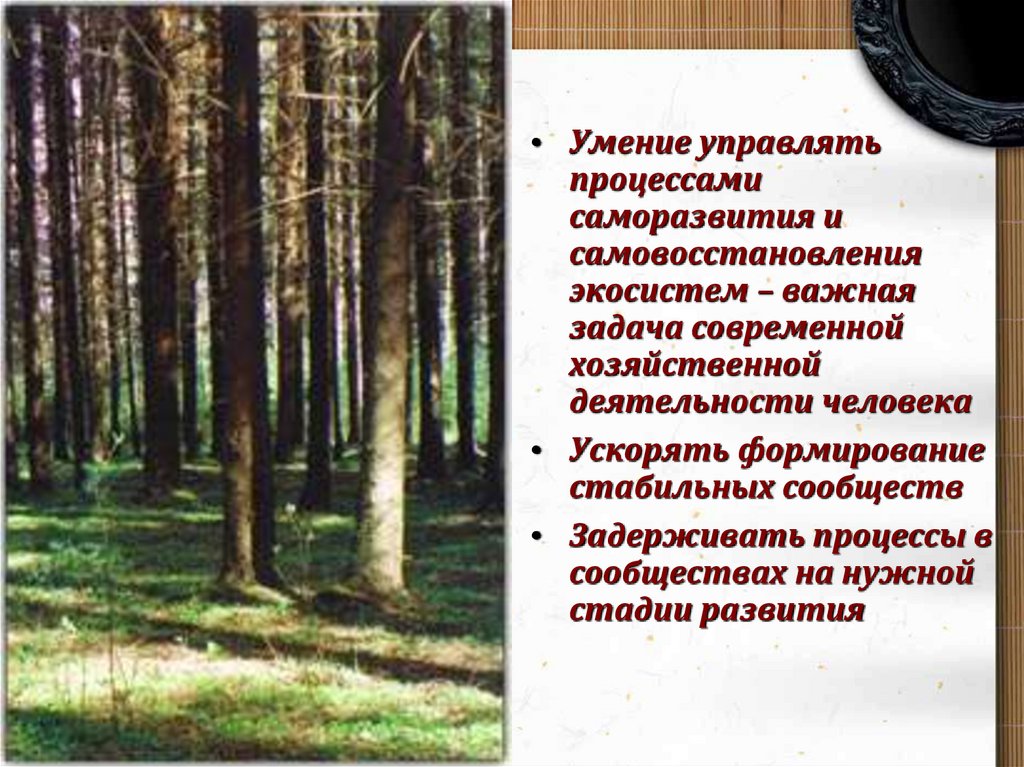 Дубраву как устойчивую экосистему характеризуют 1. Причины устойчивости и смены экосистем. Причины устойчивости экосистем. Закономерности устойчивости экосистем. Какие причины вызывают смену биогеоценозов.