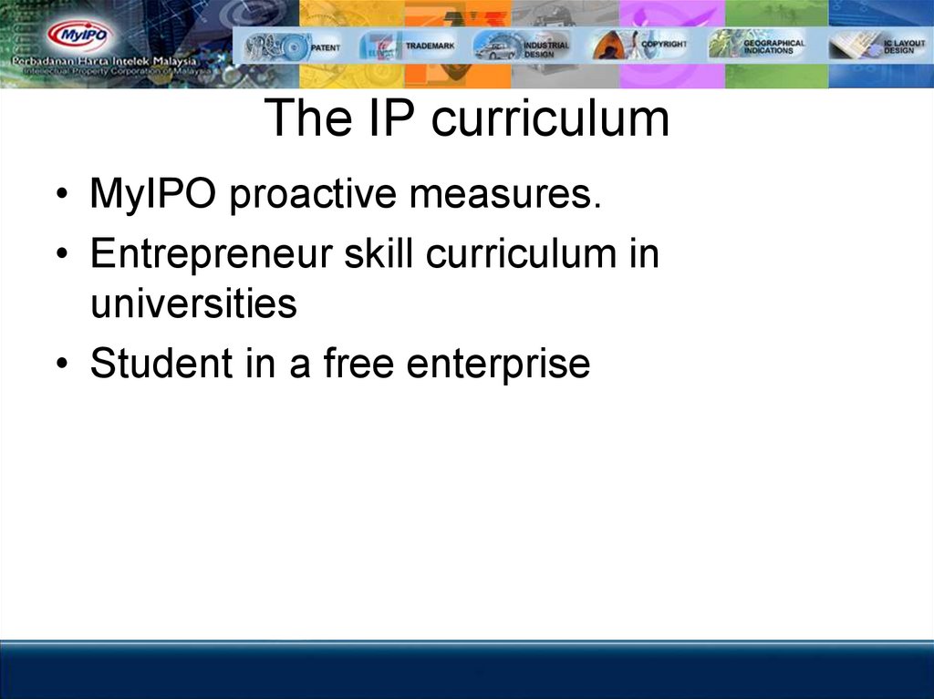 The IP curriculum