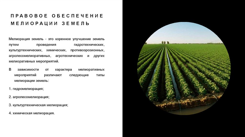 Консервация деградированных земель. Правовое обеспечение мелиорации ...