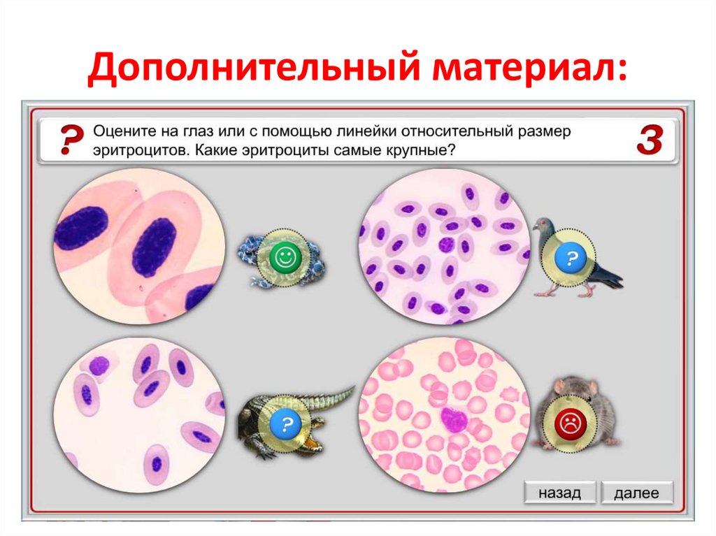 Эволюция клетки картинки