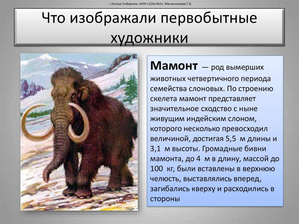 Где жили мамонты. Мамонты вымерли. Животные которые вымерли мамонты. Мамонт период. Почему вымерли мамонты.