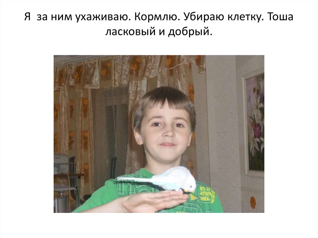 Я за ним ухаживаю. Кормлю. Убираю клетку. Тоша ласковый и добрый.