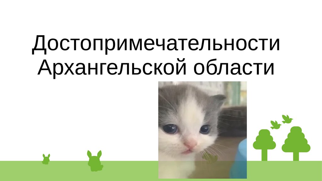 Презентация достопримечательности архангельской области