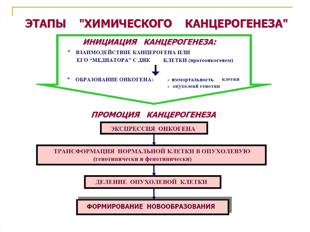 Инициация промоция. Стадии химического канцерогенеза. Этапы химии.