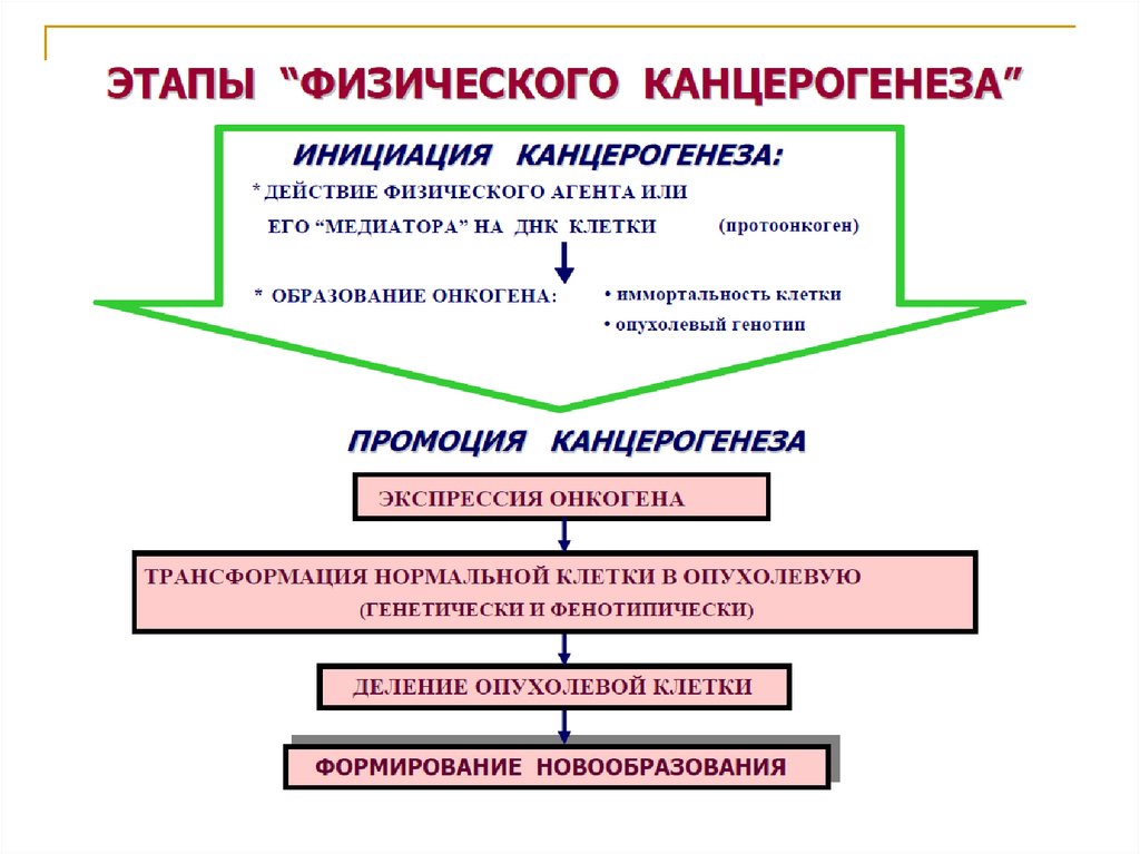 Инициация промоция. Функции протоонкогенов схема. ДНК протоонкогены. Опишите механизмы трансформации протоонкогенов в онкогены. Механизм превращения протоонкогена в онкоген схема.