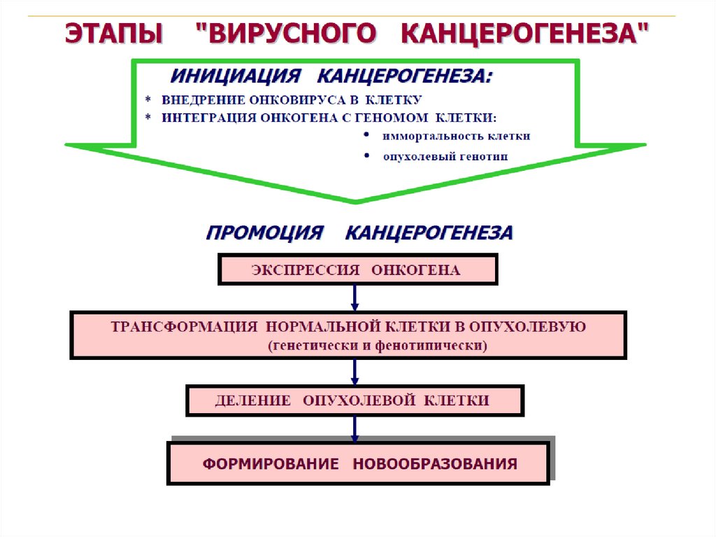 Инициация промоция. Этапы канцерогенеза. Стадии вирусного процесса. Механизмы канцерогенеза. Интеграция клеток пример.