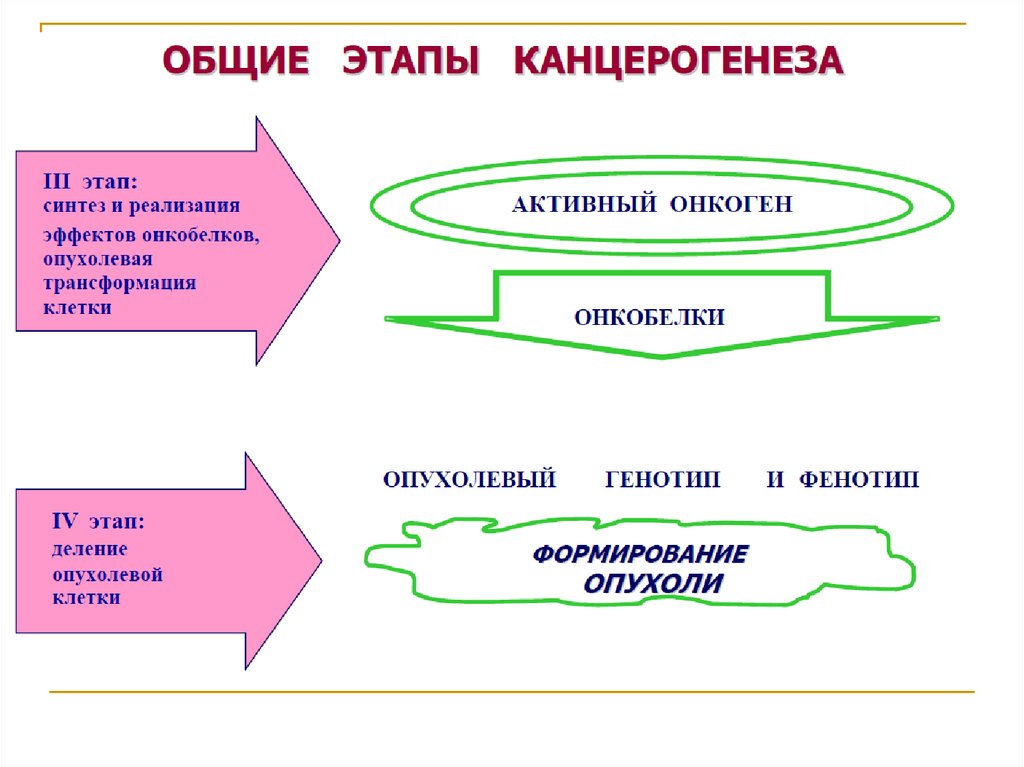 Опухолевый процесс - презентация онлайн