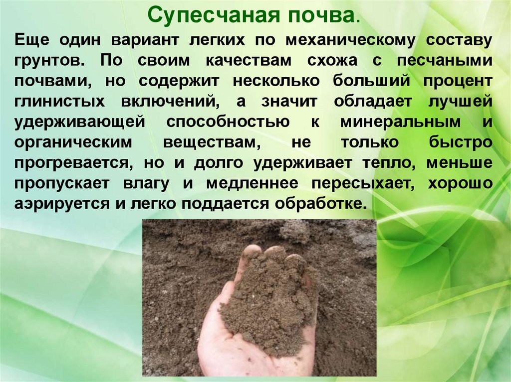 Почвы. Виды почв - online presentation