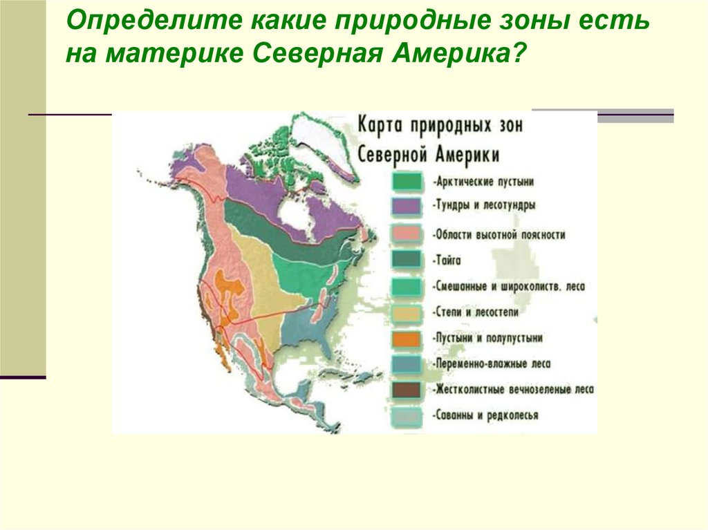 Природные зоны население северной америки 7 класс. Карта природных зон Северной Америки 7 класс география. Природные зоны Северной Америки 7 класс. Климат и природные зоны Северной Америки. Природные зоны Северной Америки 7 класс география.