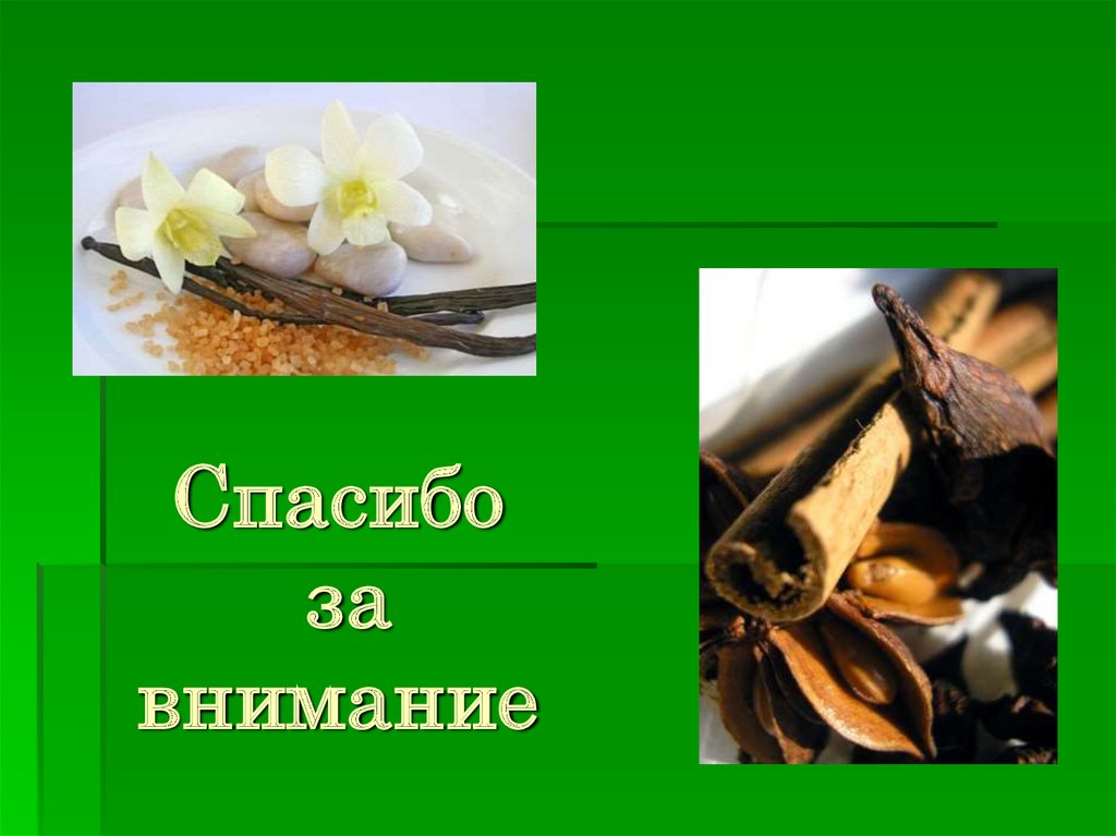 Спасибо за внимание