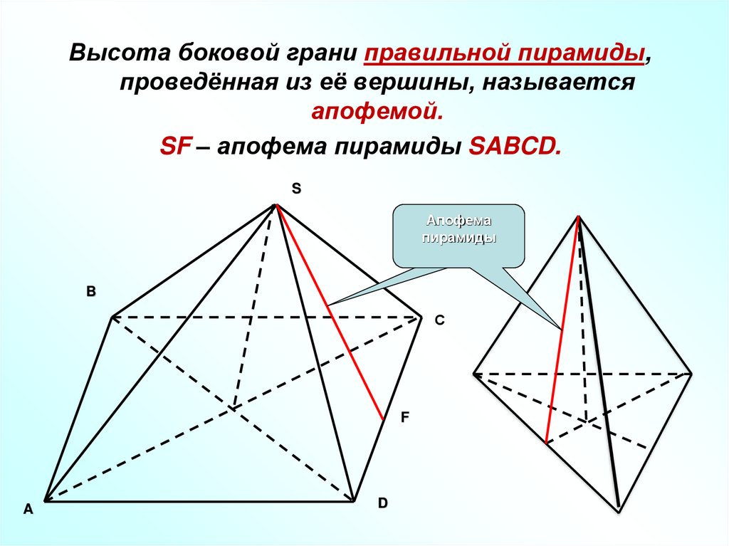 Апофемы пирамиды равны