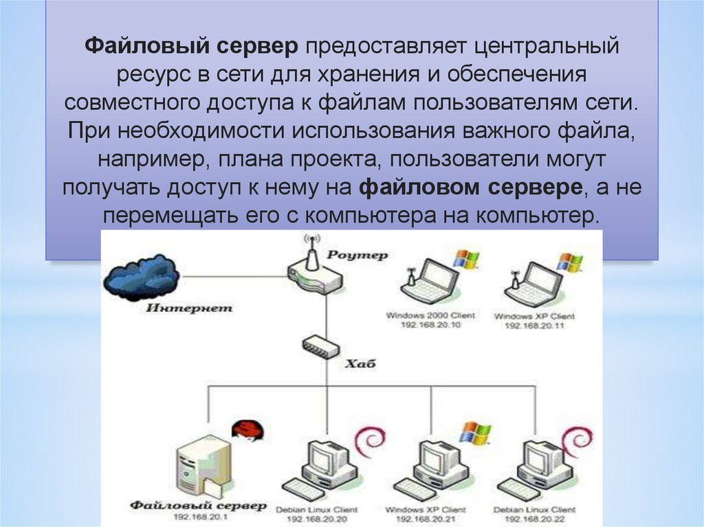 Схема соединения компьютеров в сети называется