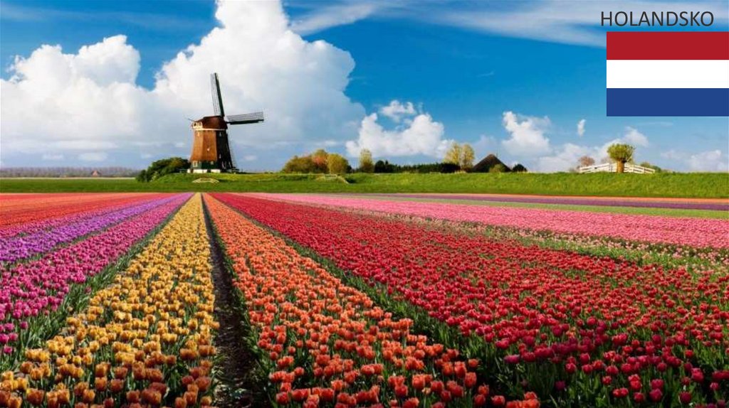 HOLANDSKO
