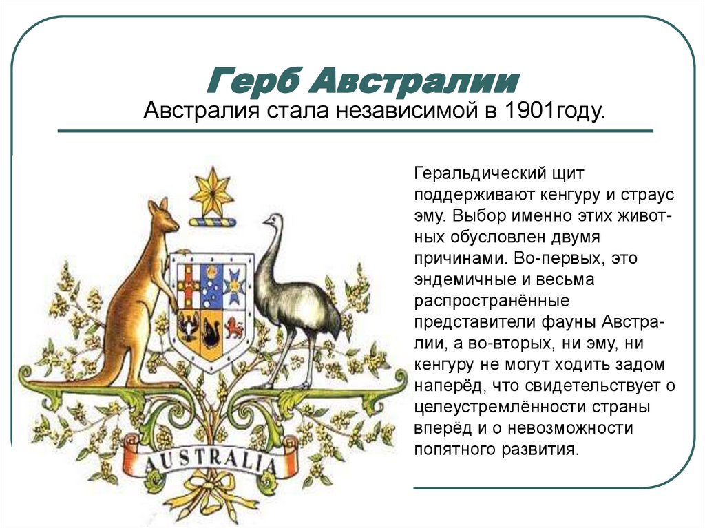 Какой символ австралии. Герб Австралии описание. Расшифровка герба Австралии. Герб на аву.