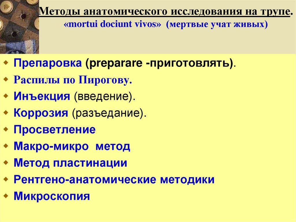 3 анатомических метода. Методы исследования в анатомии. Методы анатомического исследования. Методы изучения анатомии на трупе. Методы исследования на трупном материале в анатомии.