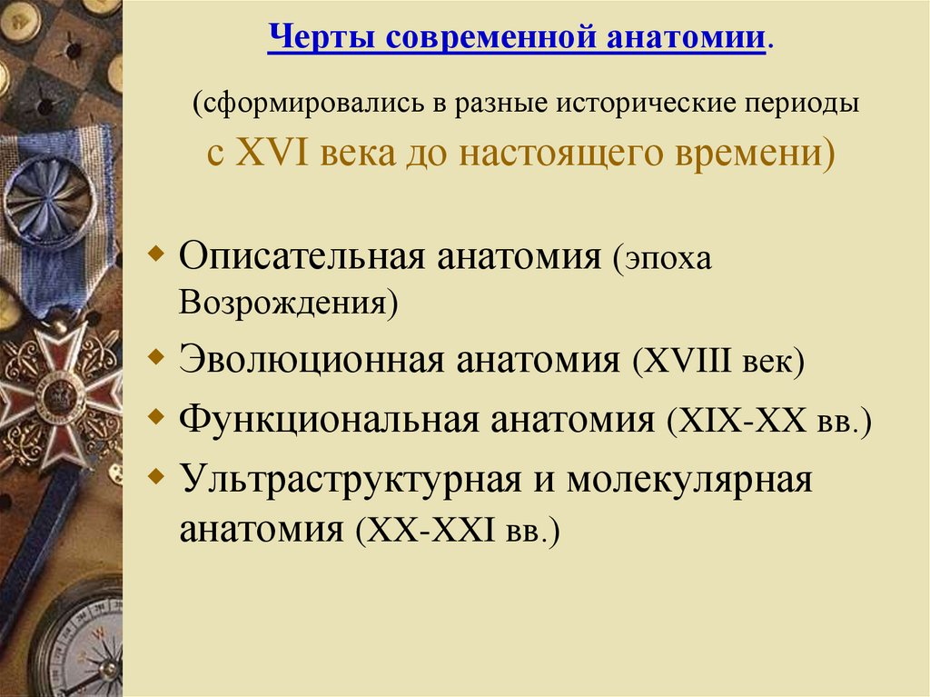 Основные черты современной науки. Черты современной анатомии. Основные направления в современной анатомии. Главные открытия анатомии. Описательная анатомия методы.