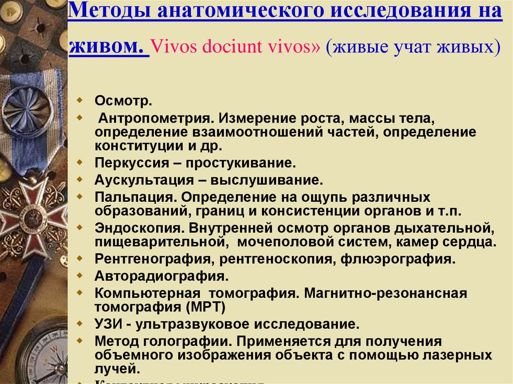 Методы исследования терминов. Методы анатомического исследования. Современные принципы анатомического исследования. Принципы изучения анатомии. Методы анатомии кратко.