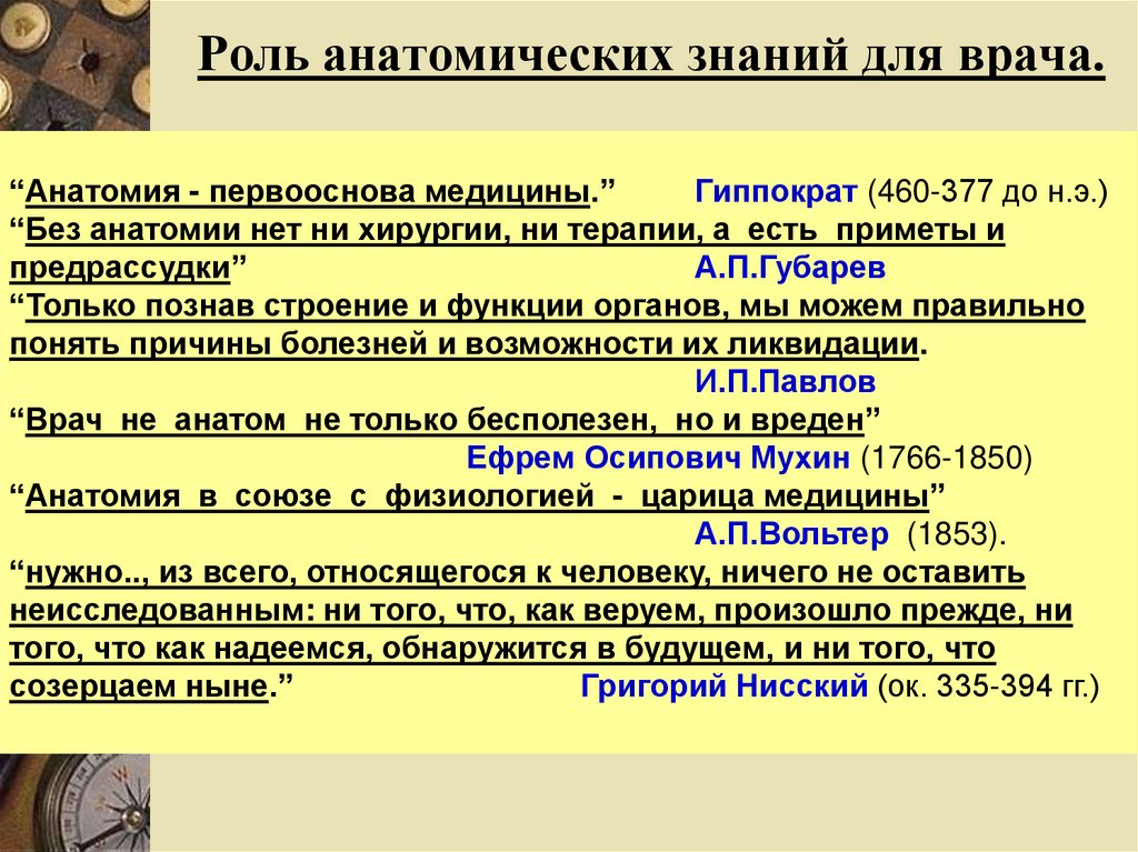 Значение анатомии для медицины. Роль анатомии. Роль анатомии в медицине. Анатомия важность.