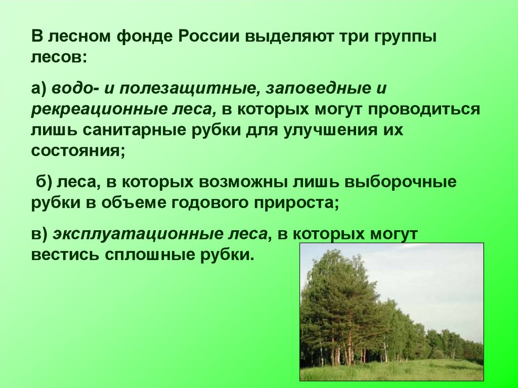 Какие есть группы лесов. Группы лесов лесного фонда России. Лесное хозяйство презентация. Характеристика леса. Презентация на тему Лесное хозяйство.